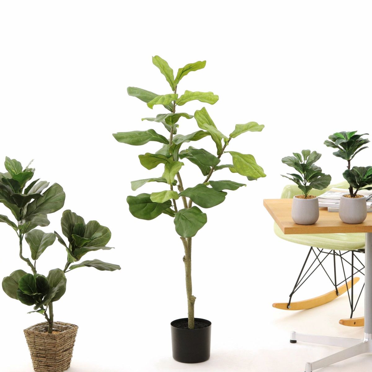 プラ鉢（＋0円）