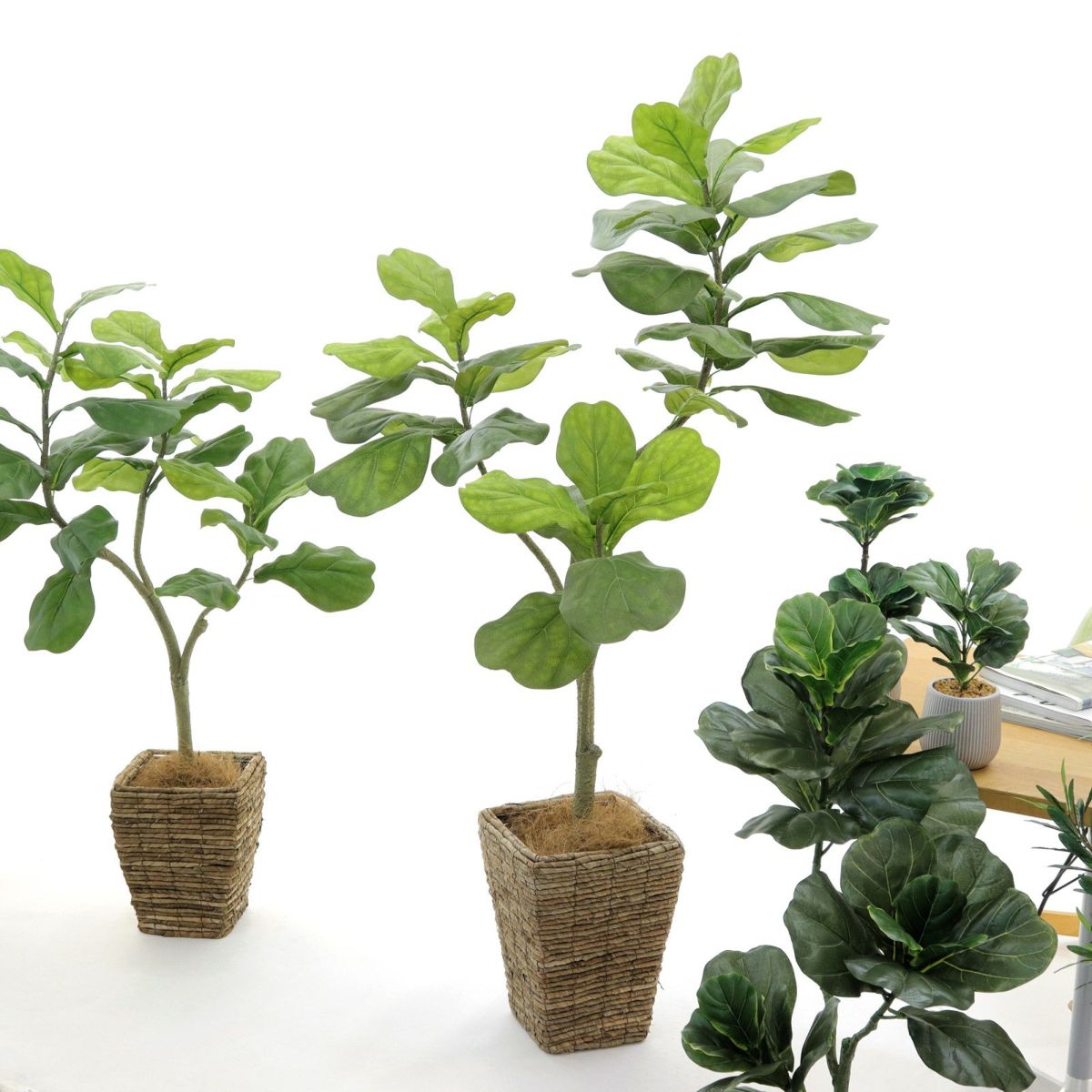 バナナリーフバスケット大 KG5-SRE＋ヤシの繊維（＋4500円）