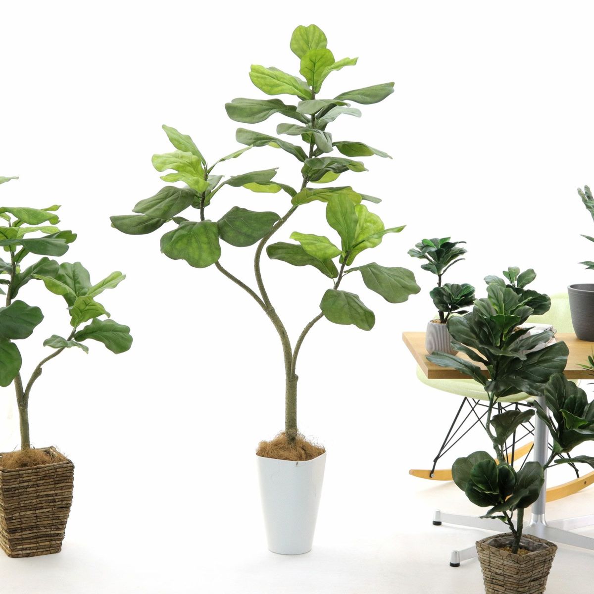 スマートポット CHIC8＋ヤシの繊維（＋1500円）