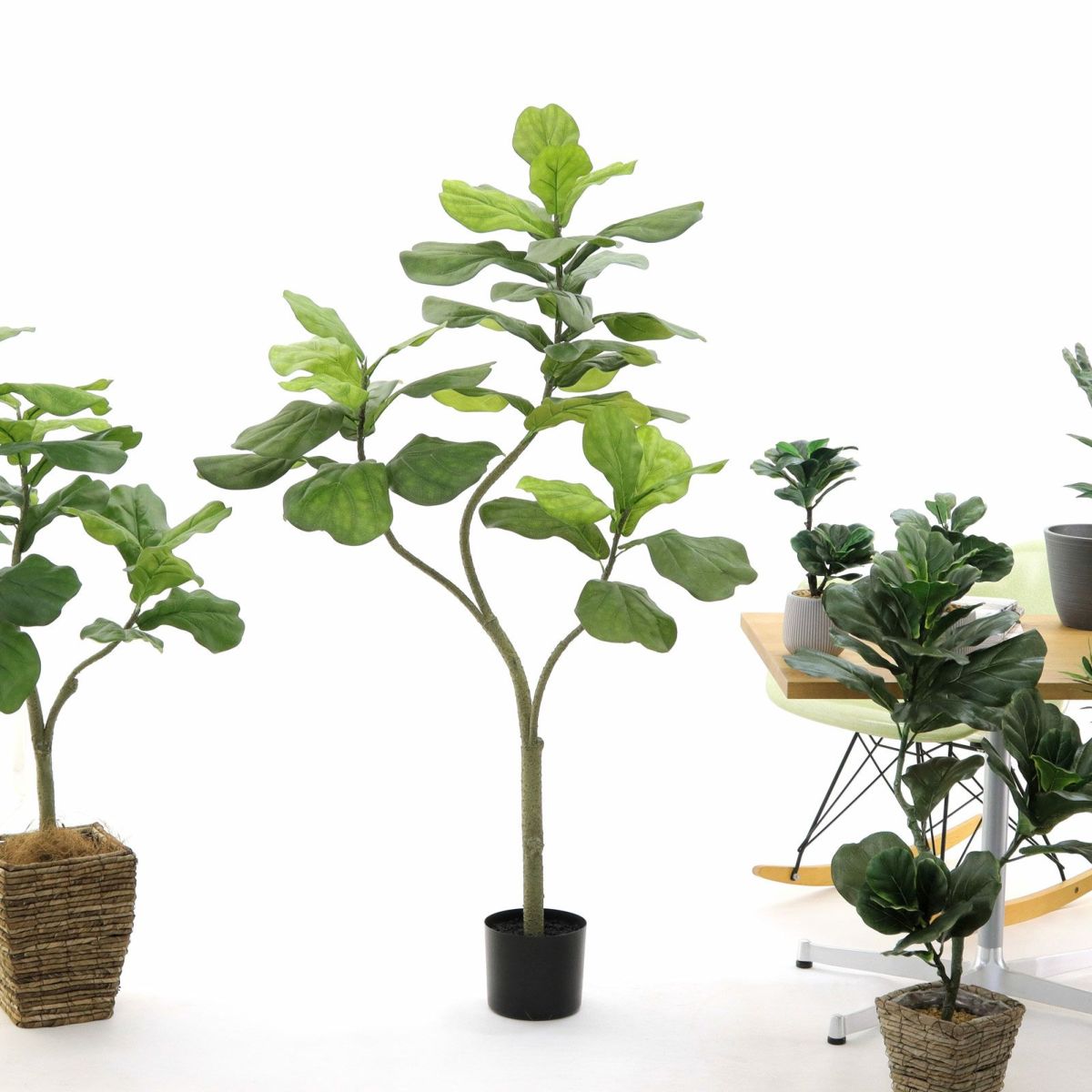 プラ鉢（＋0円）