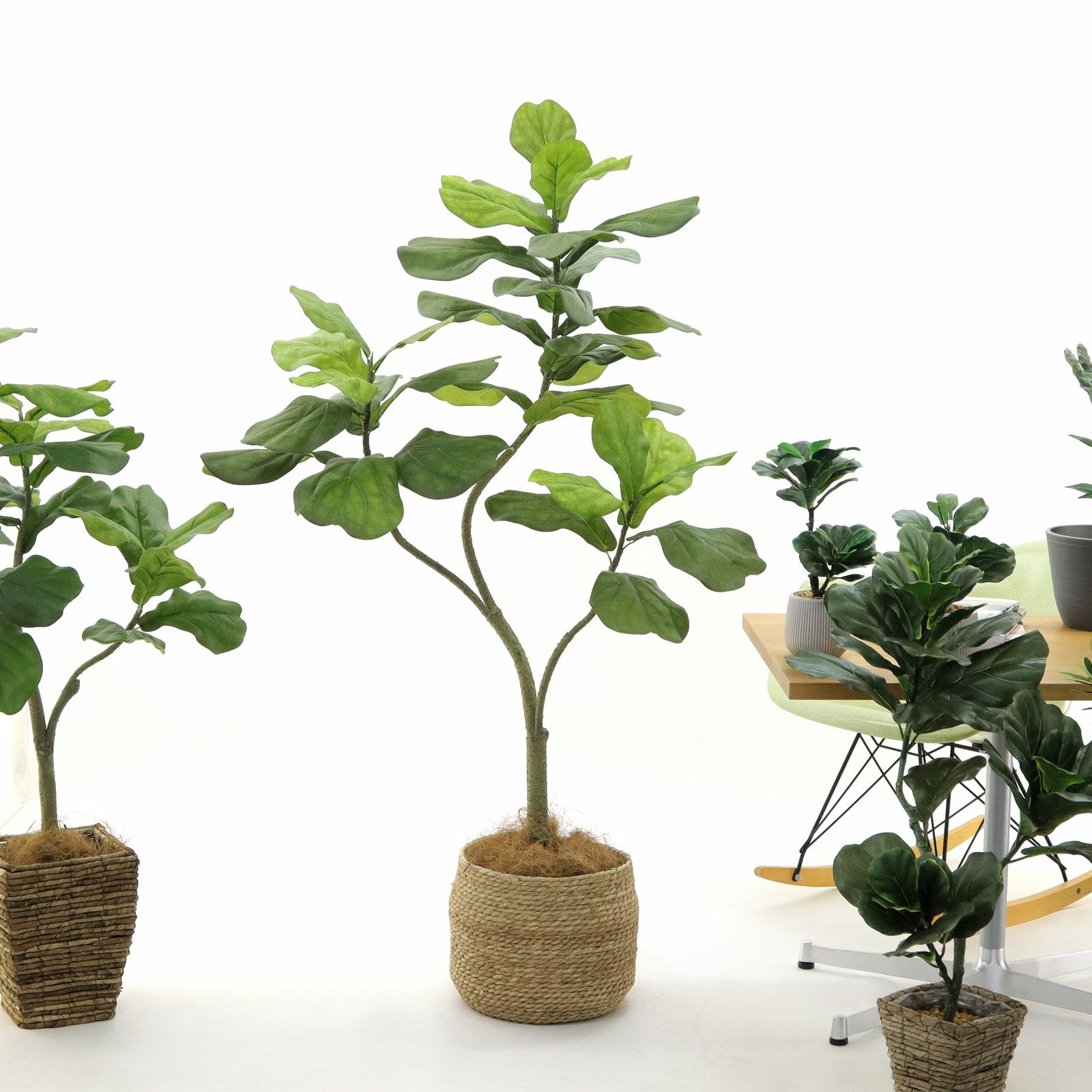 No9266 プレミアム光触媒フェイクグリーン 「しなやかな幹線 × 存在感