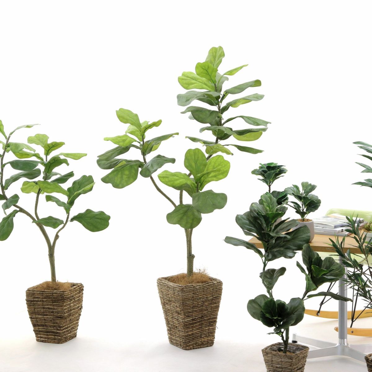 バナナリーフバスケット大 KG5-SRE＋ヤシの繊維（＋4500円）