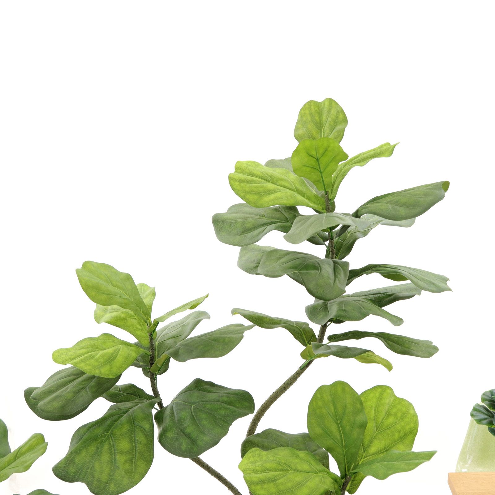 光触媒　人工観葉植物　フェイクグリーン　デザインカシワバゴム1.1 カシワバゴムの木 150cm- フェイクグリーン専用通販サイト