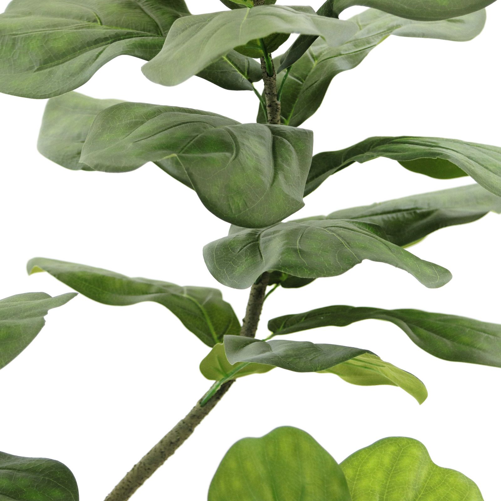 光触媒　人工観葉植物　フェイクグリーン　DXカシワバゴム1.8maj 光触媒 人工観葉植物 フェイクグリーン DXカシワバゴム1.8maj 観葉植物