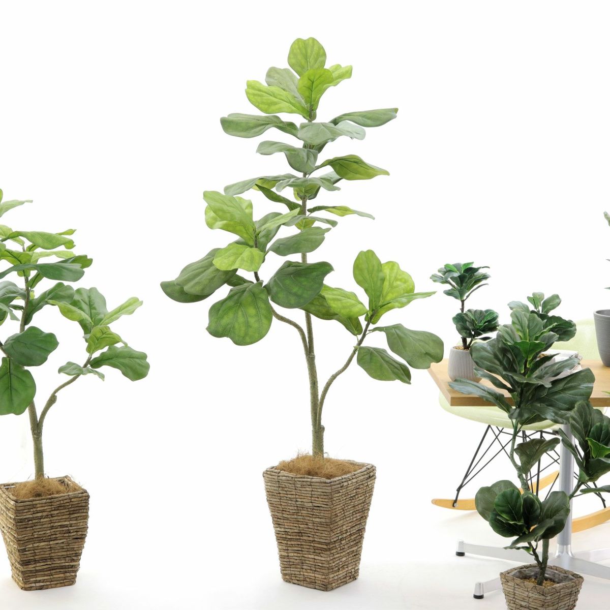 直立時は高さ160cmくらいあります。