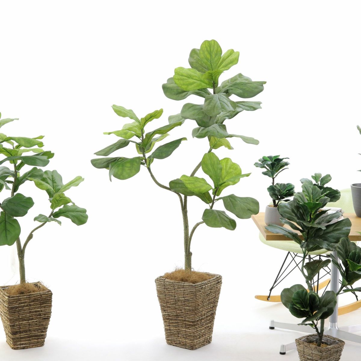 好みで枝を曲げてください。