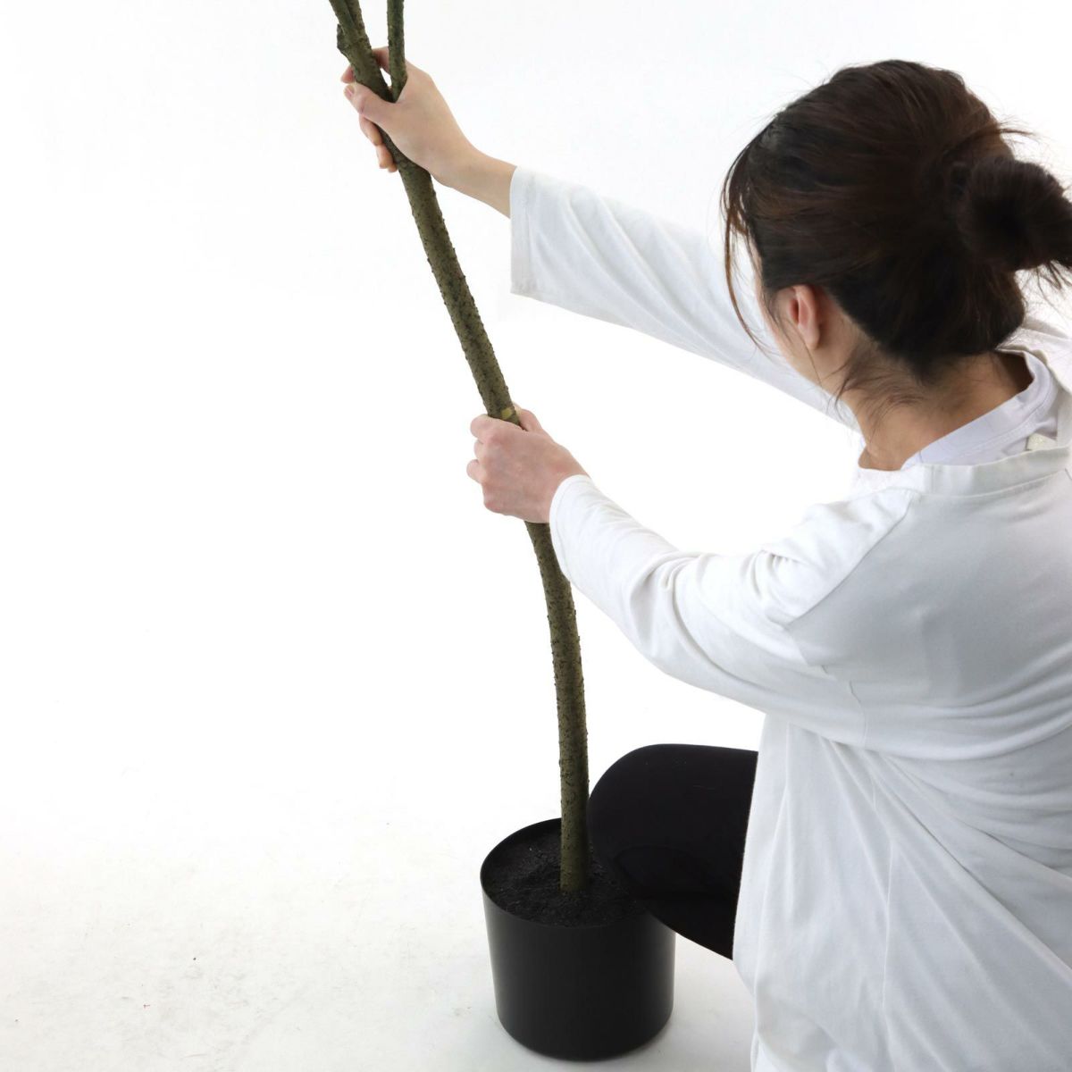 幹を曲げてお届けします