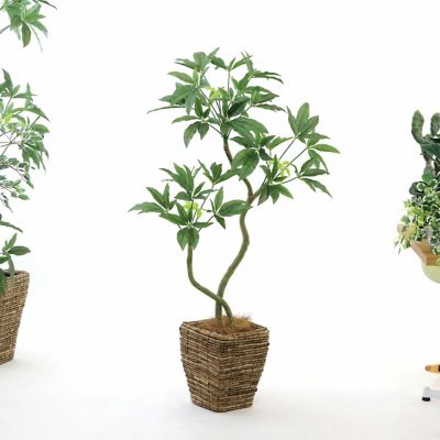 光触媒 人工観葉植物 パキラ144 70 光触媒 光の楽園 パキラ1.25m【インテリア フェイクグリーン