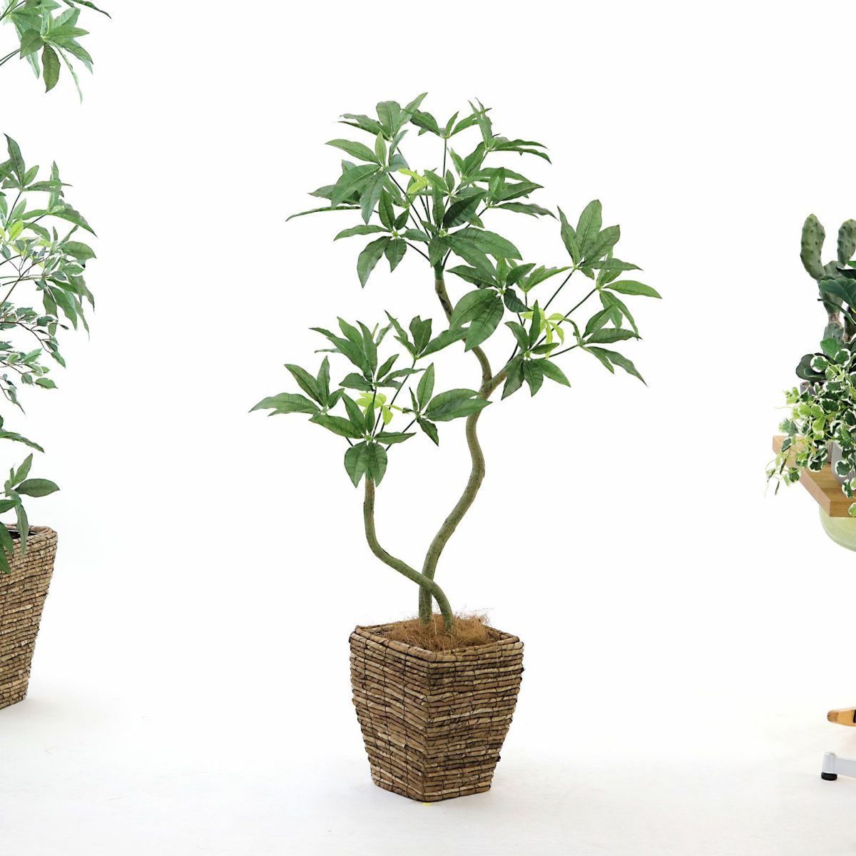 バナナリーフバスケット小 KG4-SRE＋ヤシの繊維（＋3500円）