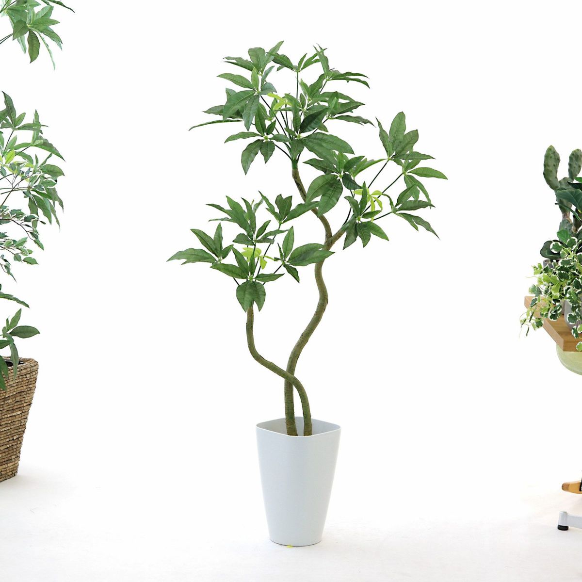 スマートポット CHIC8（＋1000円）