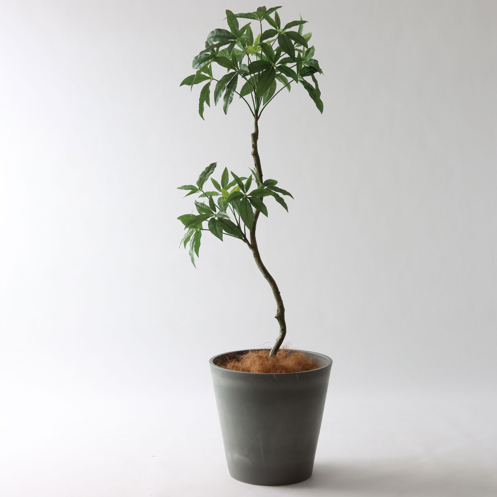 バナナリーフバスケット小 KG4-SRE＋ヤシの繊維（+3500円）