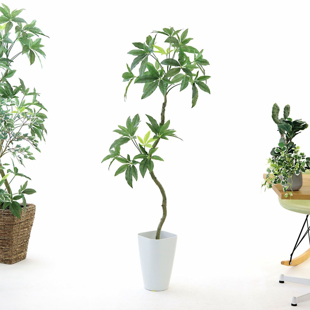 スマートポット CHIC8（+1000円）