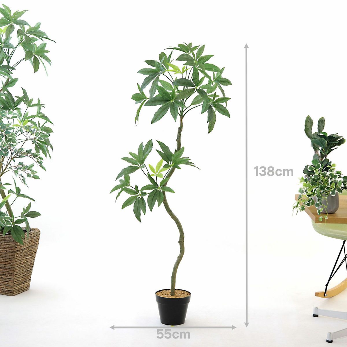 プラ鉢（+0円）