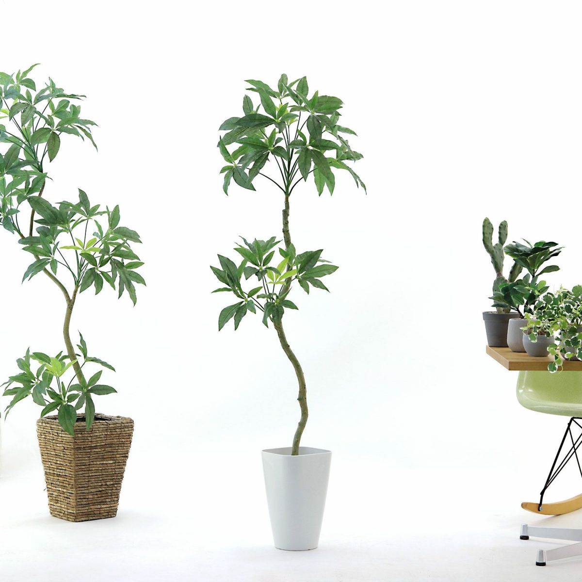 お好みで枝を伸ばしたり