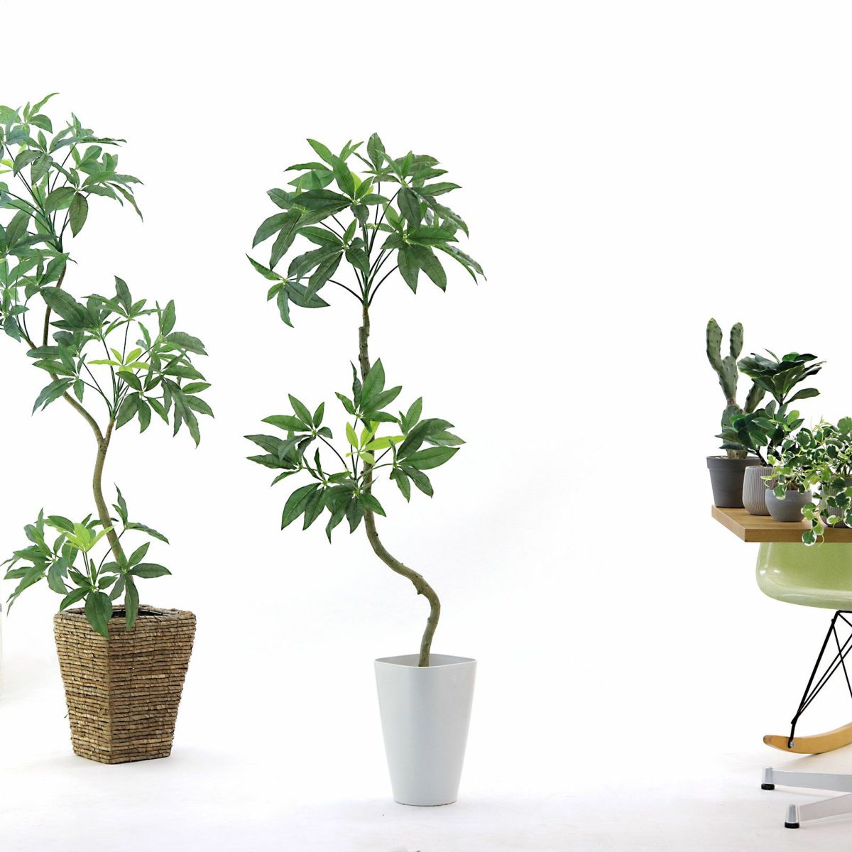 自由に遊んでみてください