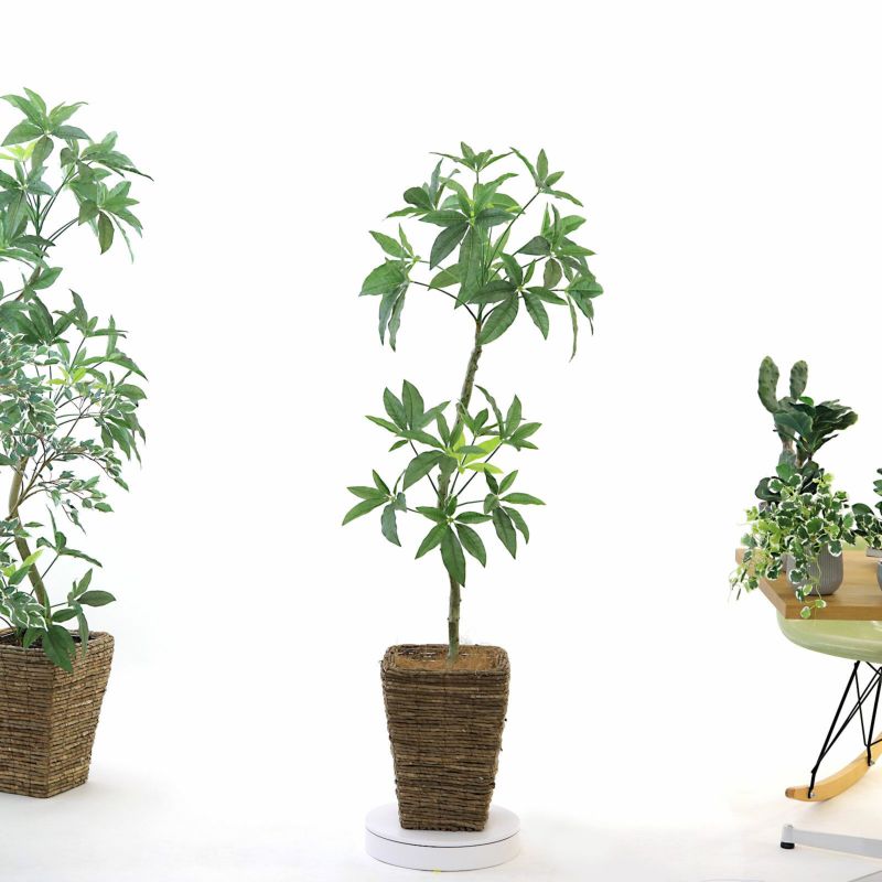 光触媒　人工観葉植物　ウォールグリーン　フェイクグリーン　デザインパキラ1.6m 光触媒 人工観葉植物 ウォールグリーン フェイクグリーン ハシラ