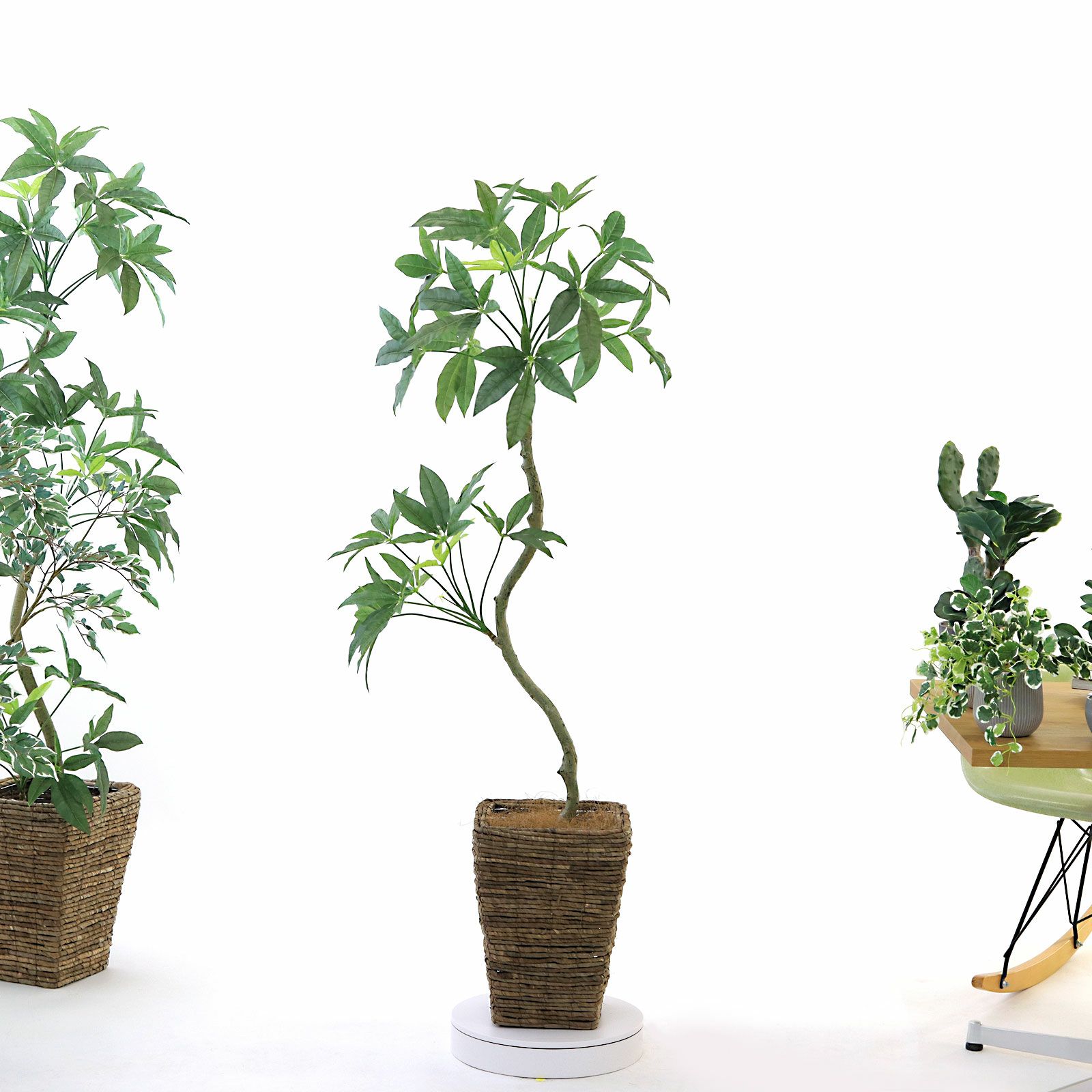 パキラ 2本幹　光触媒　フェイクグリーン観葉植物　大型 No8454 プレミアム光触媒フェイクグリーン【幹のラインを整えた