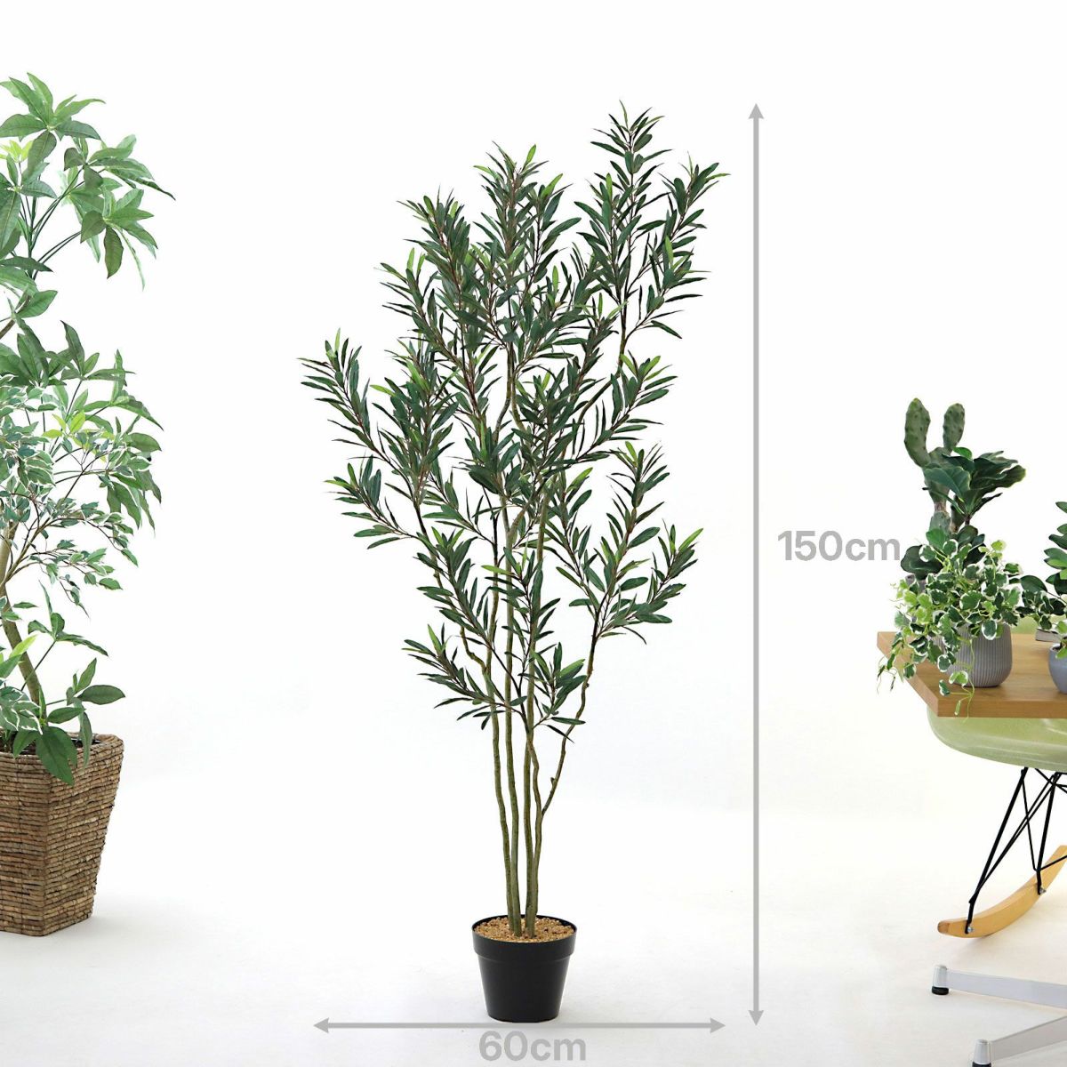 プラ鉢（+0円）