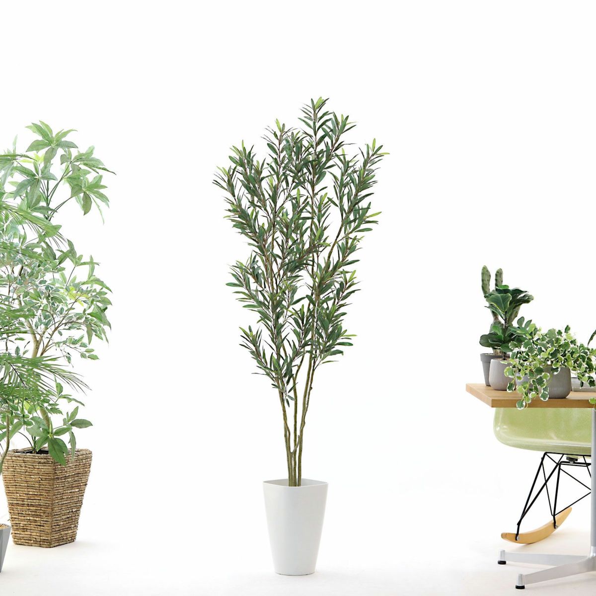 参考サイズ h160cm w60cm d50cm