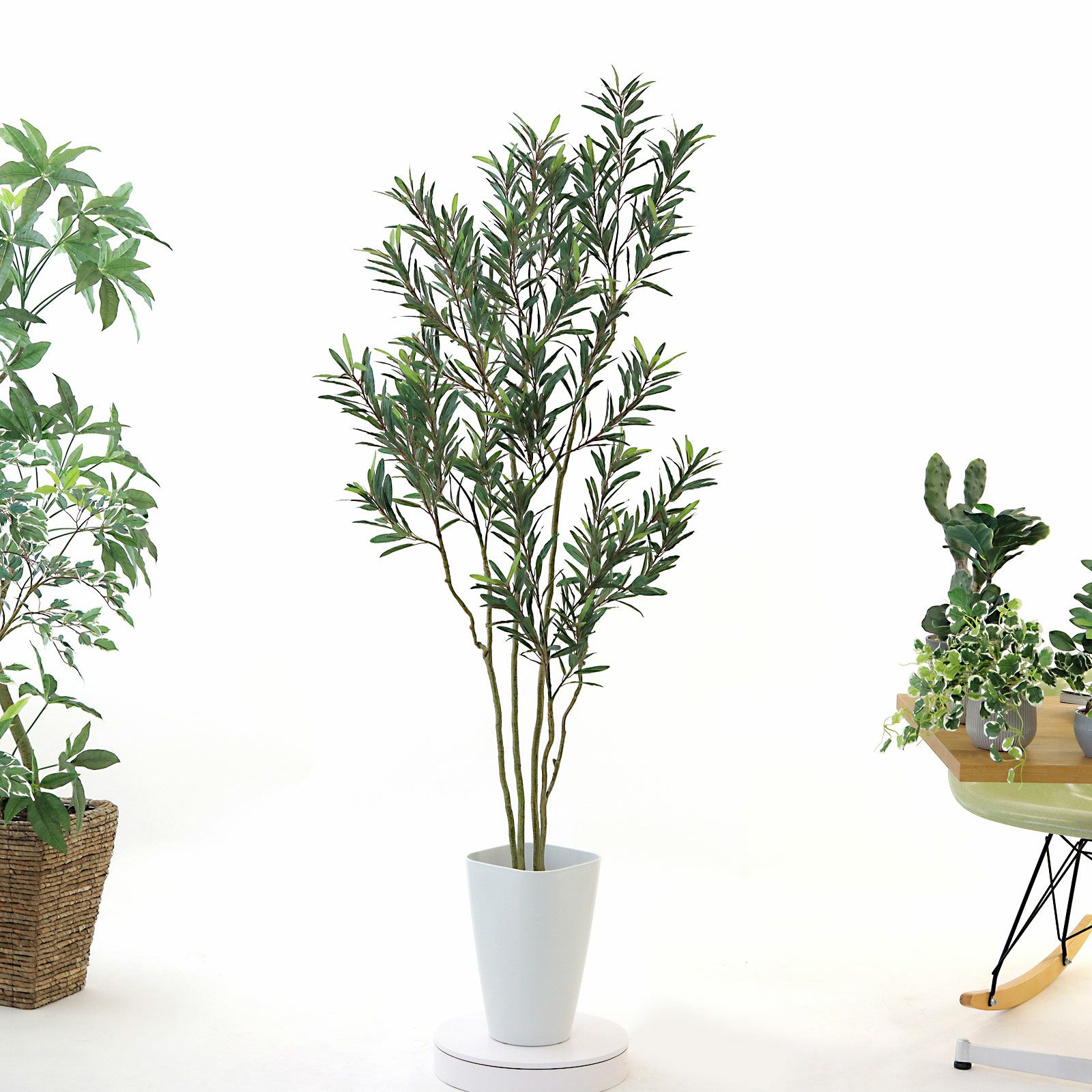 No8448 プレミアム光触媒フェイクグリーン 「陽だまりのような癒し