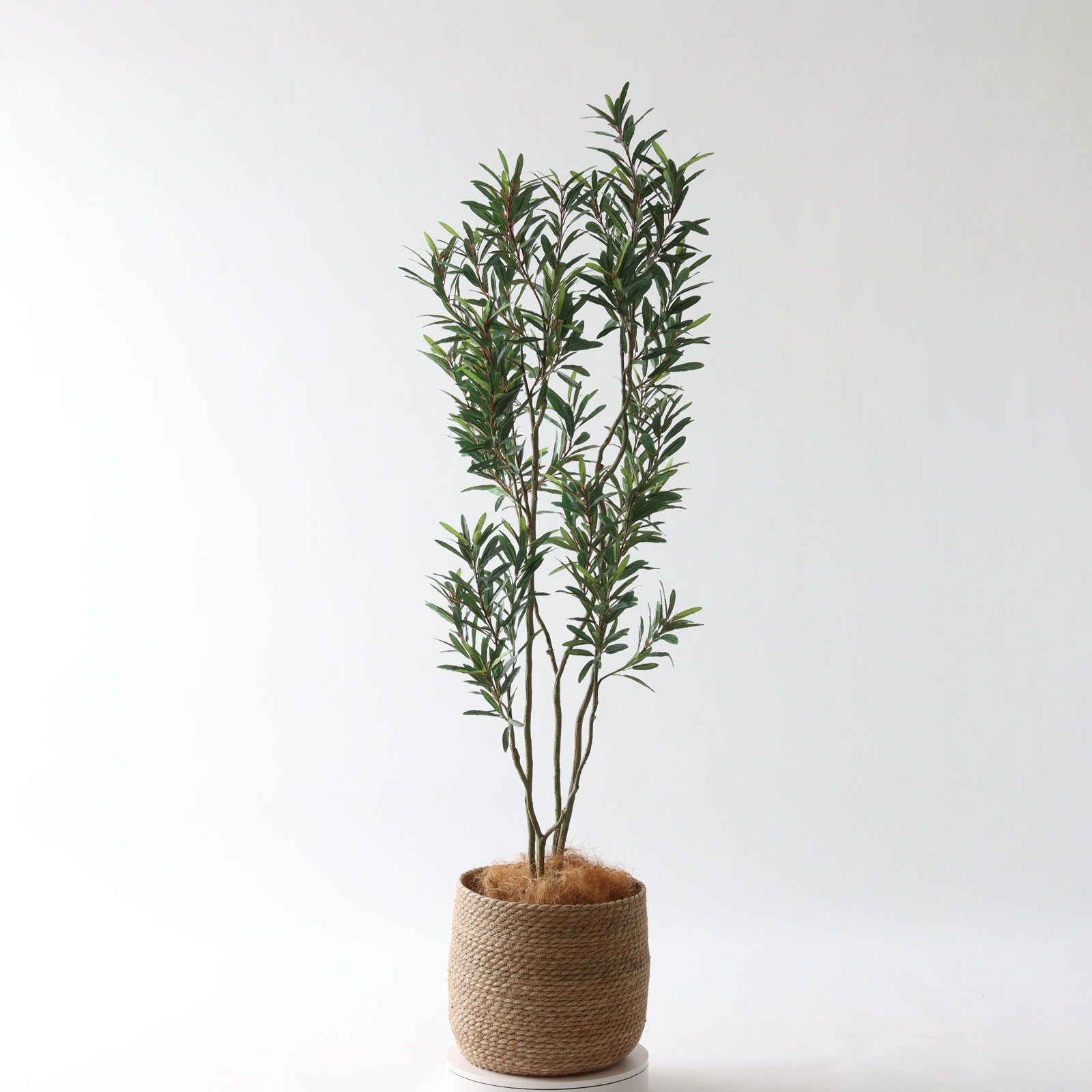 000000000200-24.jpg?t=