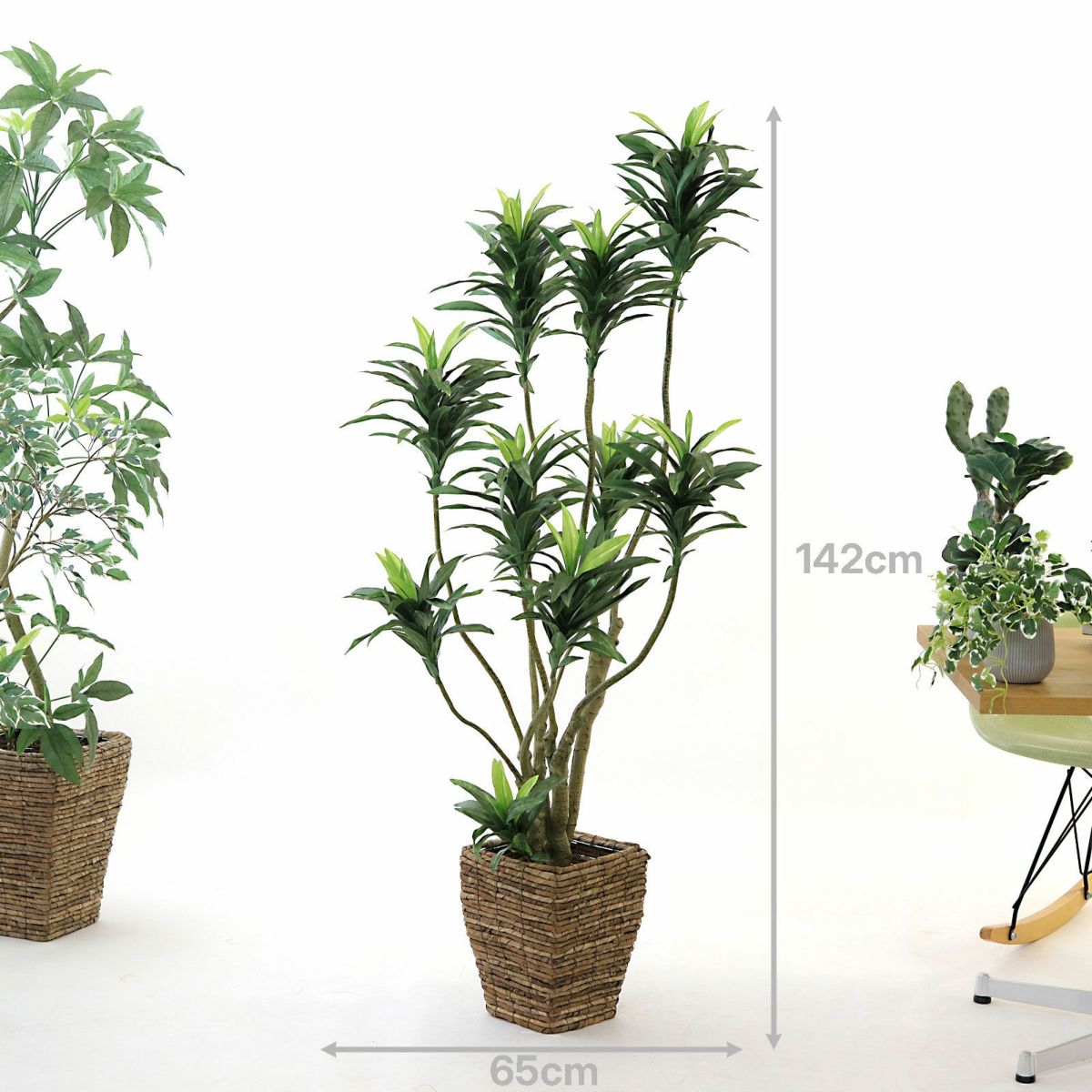 参考サイズ h142cm w65cm