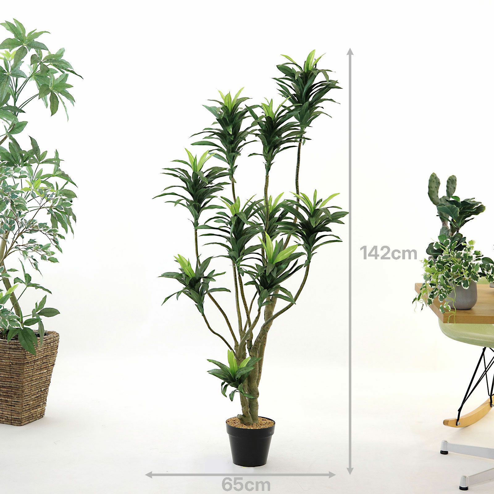 光触媒　人工観葉植物　フェイクグリーン　ソング・オブ・インディア FST 150 神戸花物語 フェイクグリーン インディア ドラセナ 観葉植物