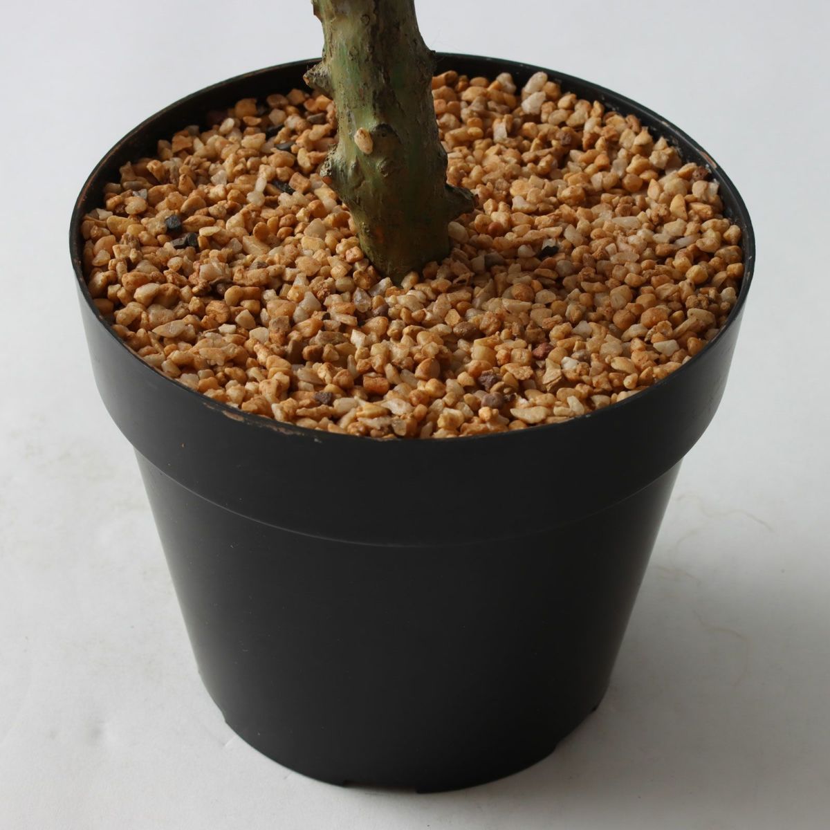 ⑭ プラ鉢（標準）