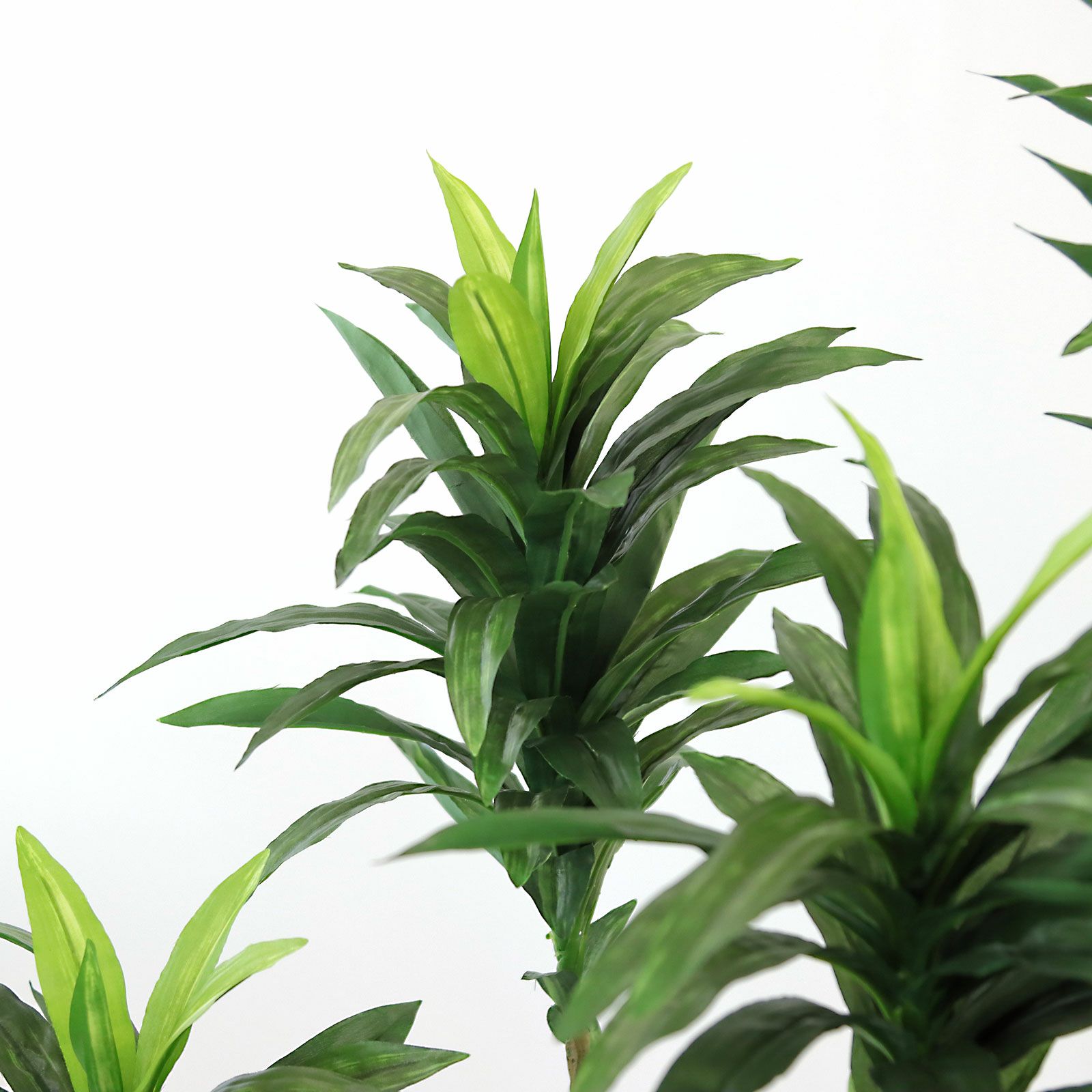 光触媒　人工観葉植物　ウォールグリーン　フェイクグリーン　ドラセナインディゴ 光触媒 人工観葉植物 ウォールグリーン フェイクグリーン
