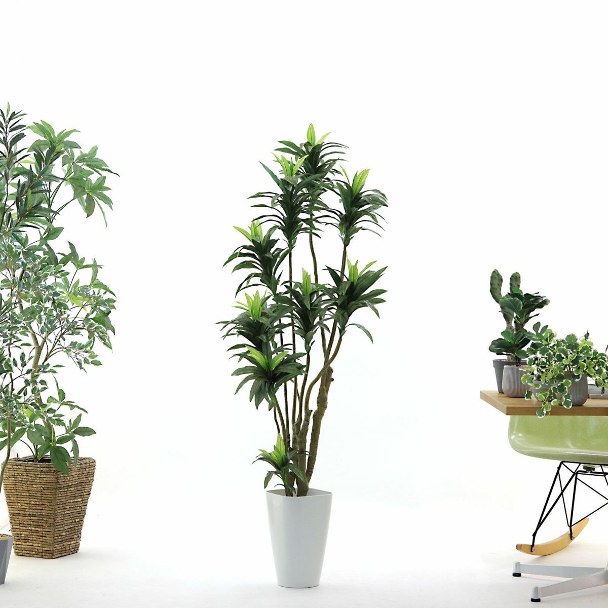 参考サイズ h150cm w60cm d60cm