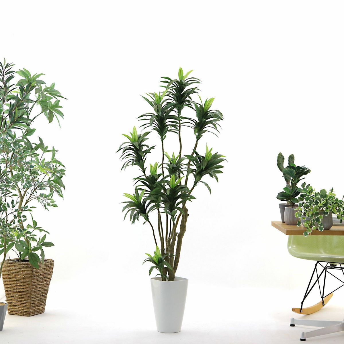 参考サイズ h150cm w65cm d60cm