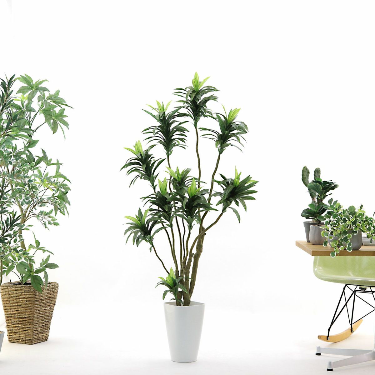 参考サイズ h150cm w75cm d60cm