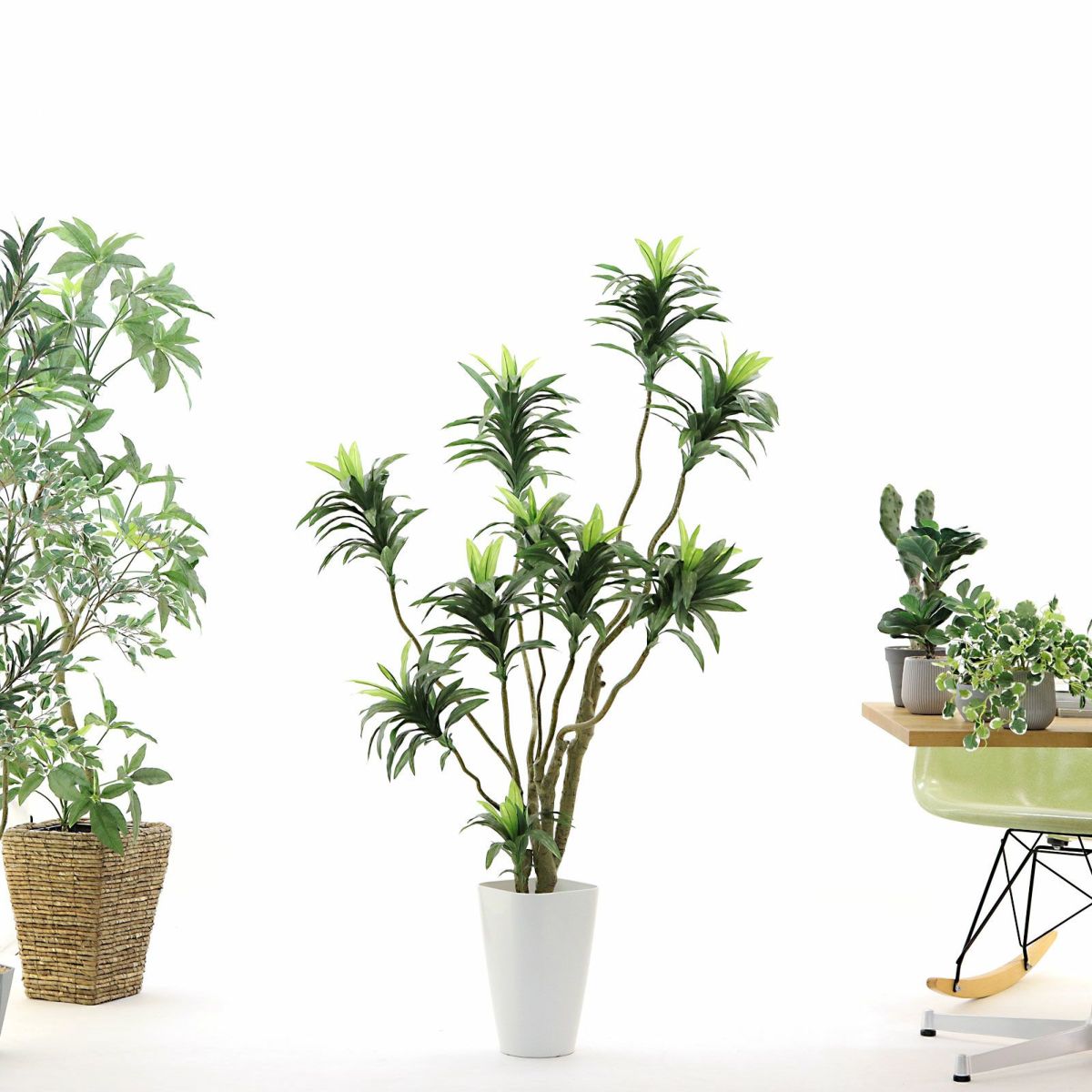 参考サイズ h145cm w85cm d90cm