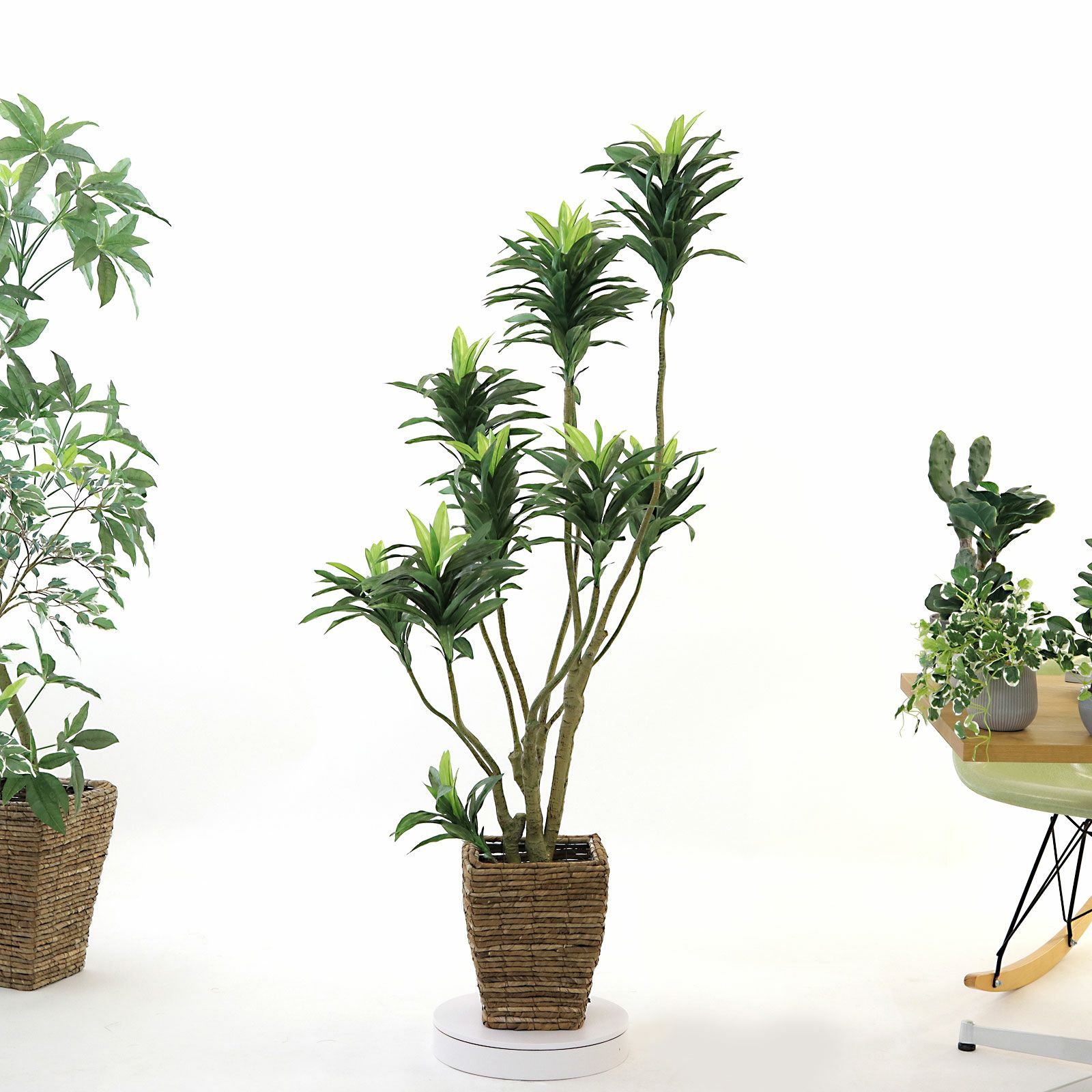 No8449 プレミアム光触媒フェイクグリーン 「狭い空間にも映える