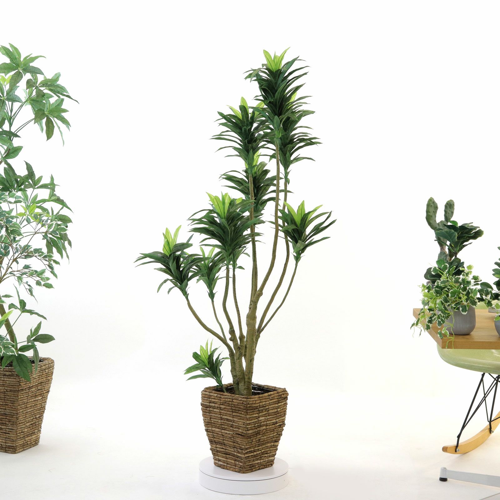 No8449 プレミアム光触媒フェイクグリーン 「狭い空間にも映える