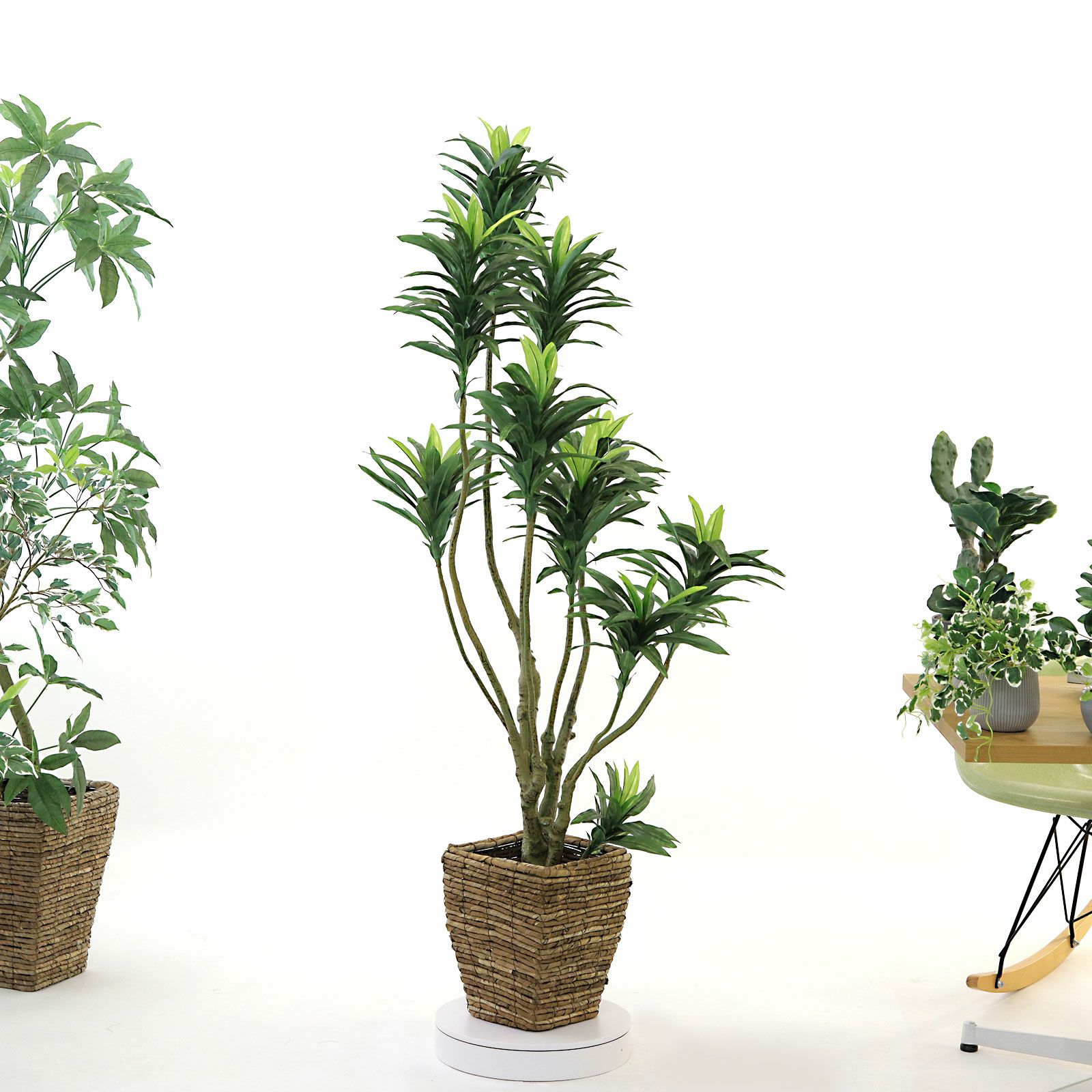 No8449 プレミアム光触媒フェイクグリーン 「狭い空間にも映える