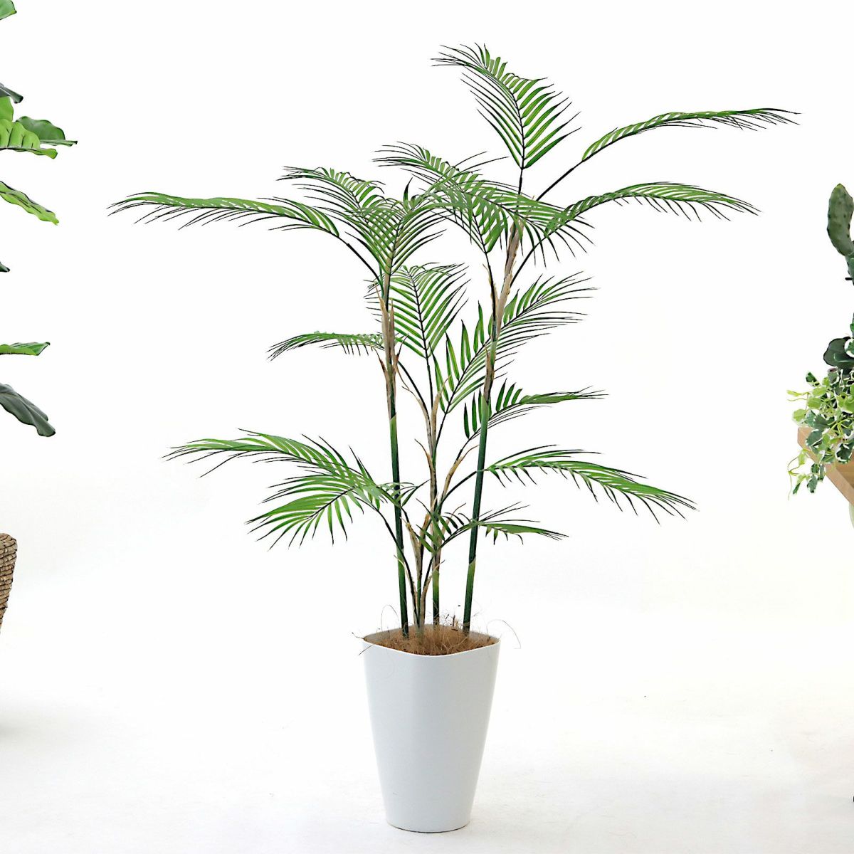 スマートポットCHIC8＋ヤシの繊維（+1500円）