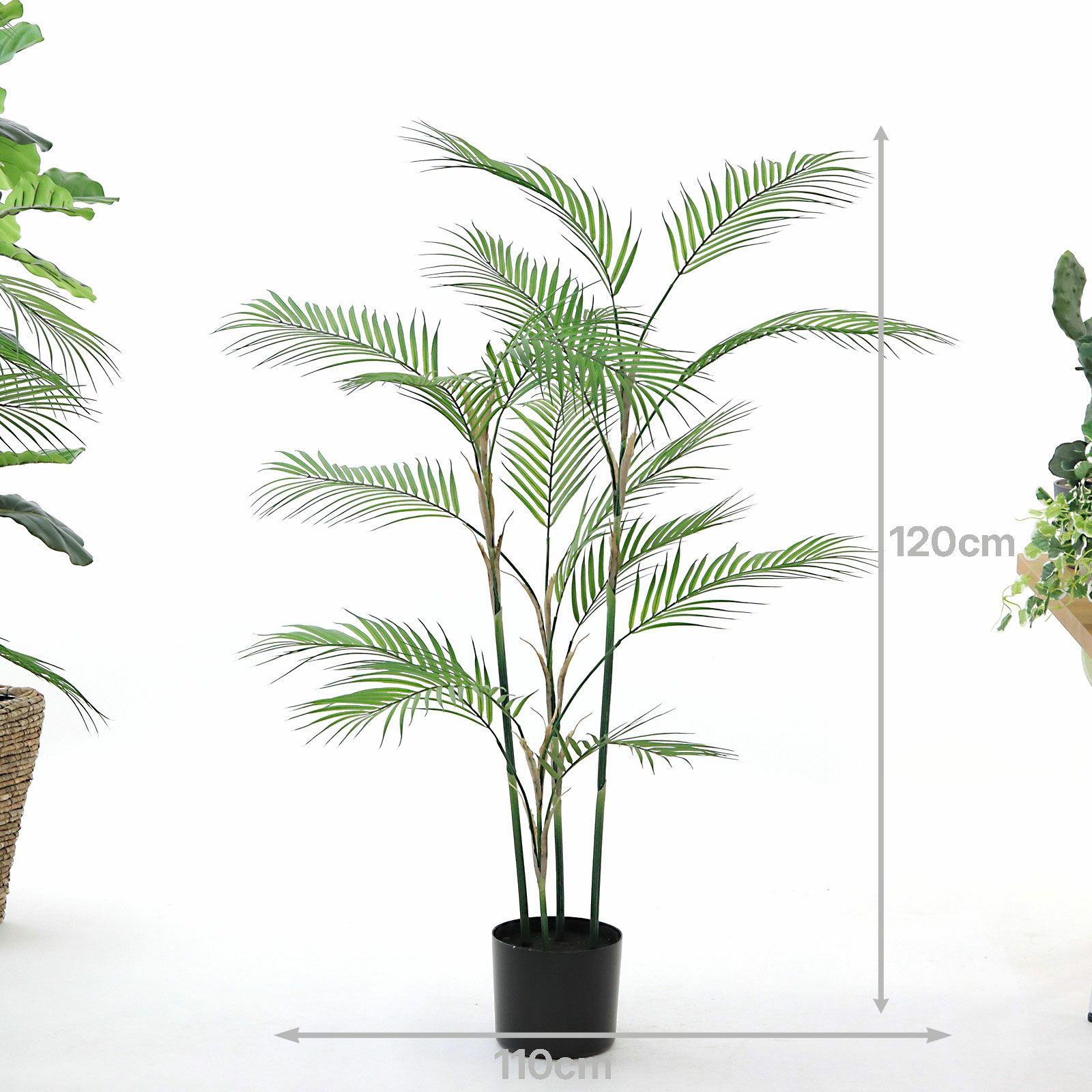 プラ鉢（+0円）