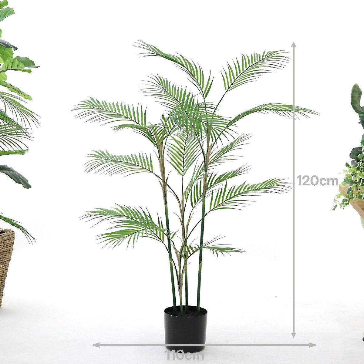 プラ鉢（+0円）