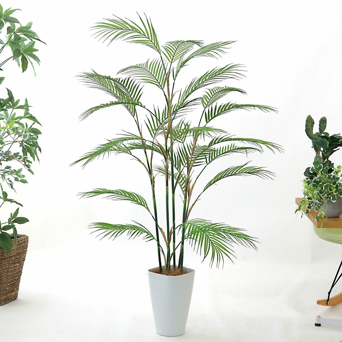 スマートポット CHIC8＋ヤシの繊維（+1500円）