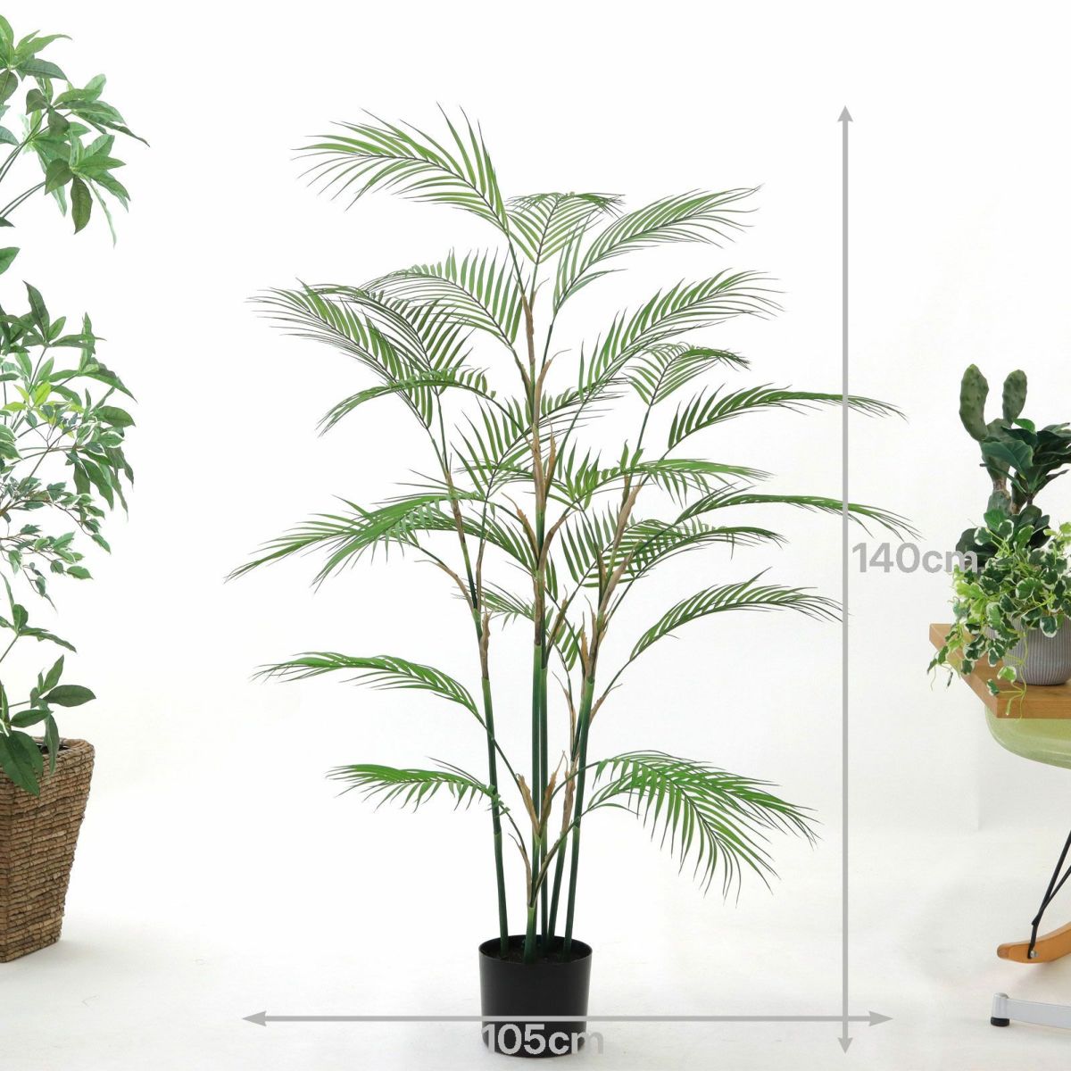 プラ鉢（+0円）