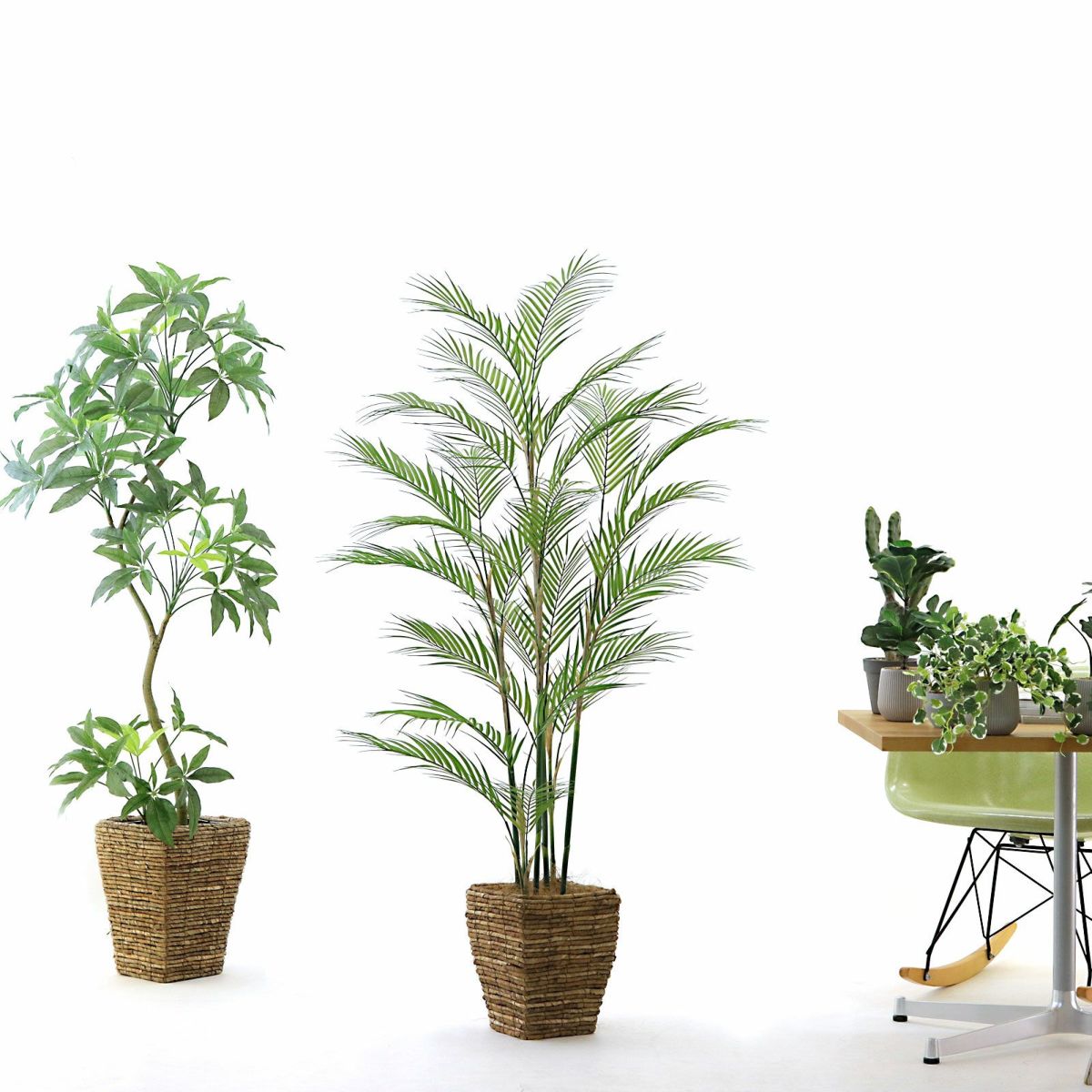 参考　h155cm w90cm d90cm