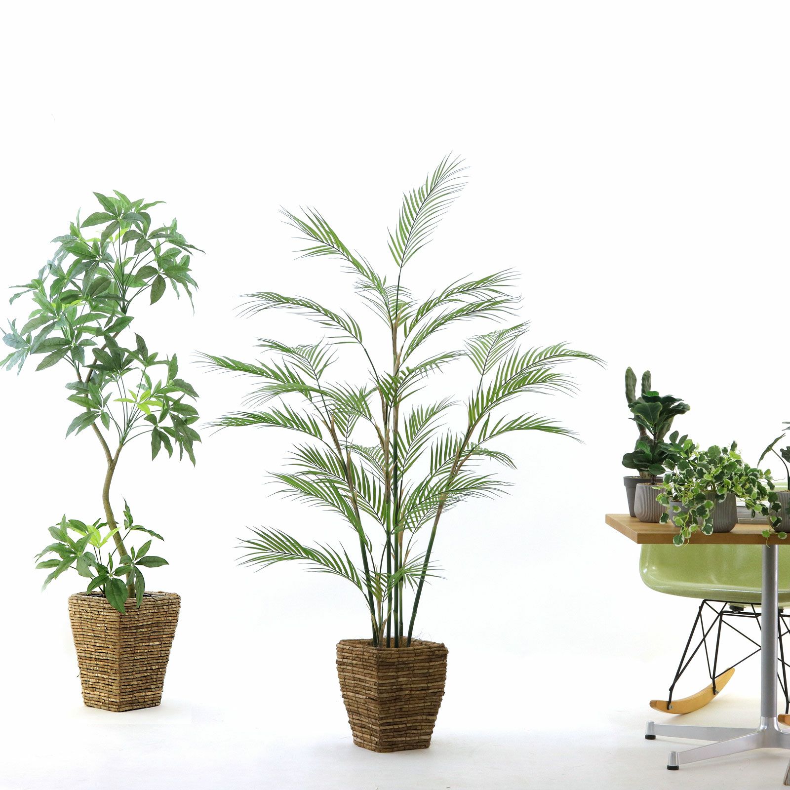 参考 h160cm w120cm d100cm