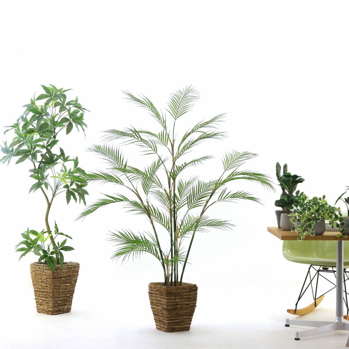 参考 h155cm w140cm d110cm