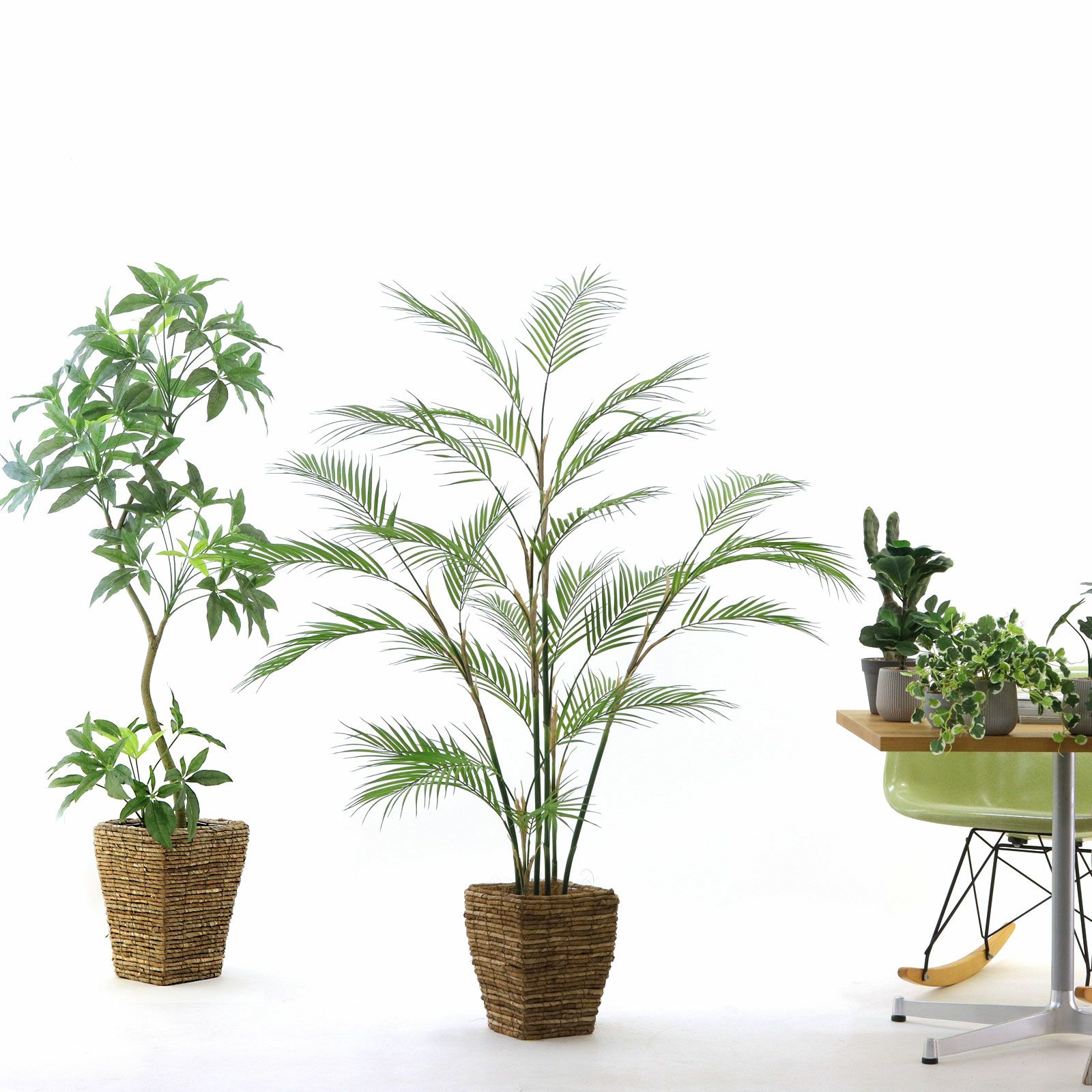 参考 h155cm w140cm d110cm