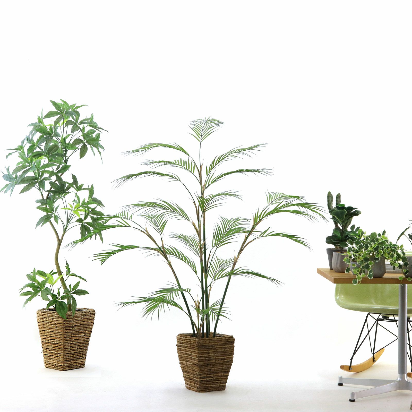 参考 h145cm w145cm d100cm