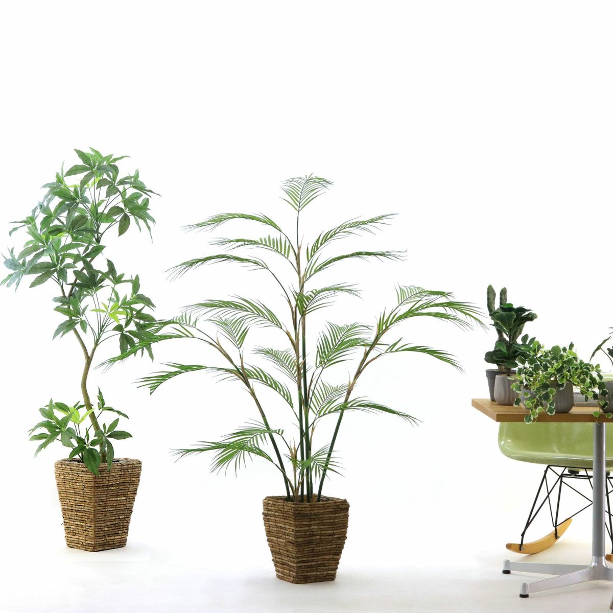 参考 h145cm w145cm d100cm