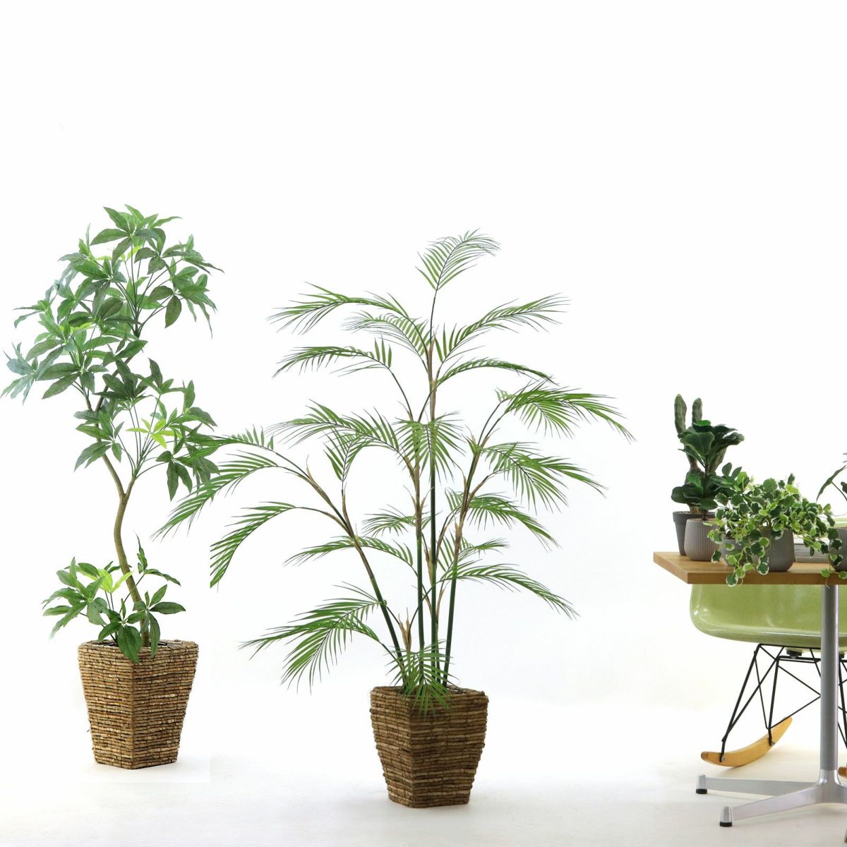 参考 h145cm w125cm d100cm