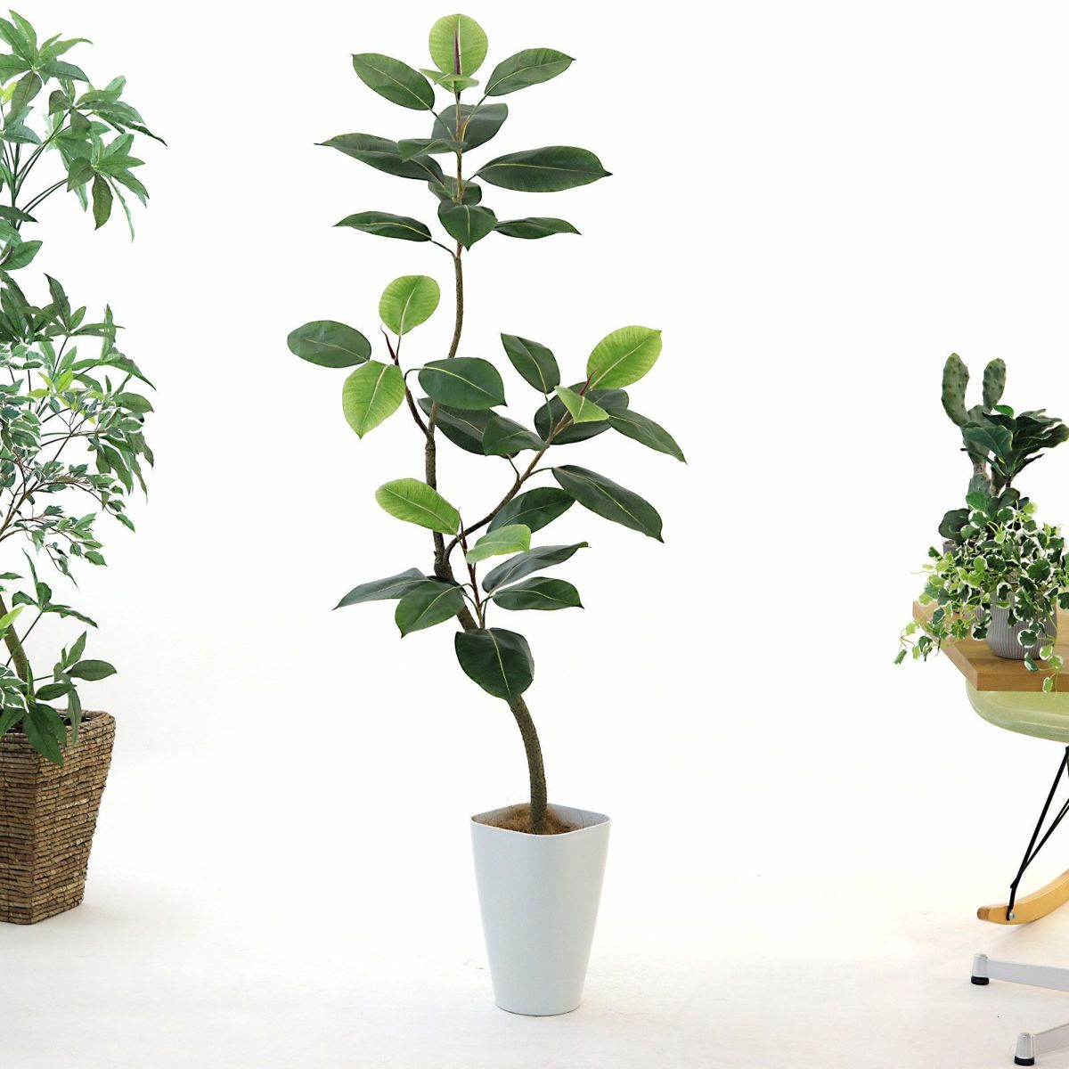 スマートポット CHIC8＋ヤシの繊維（+1500円）