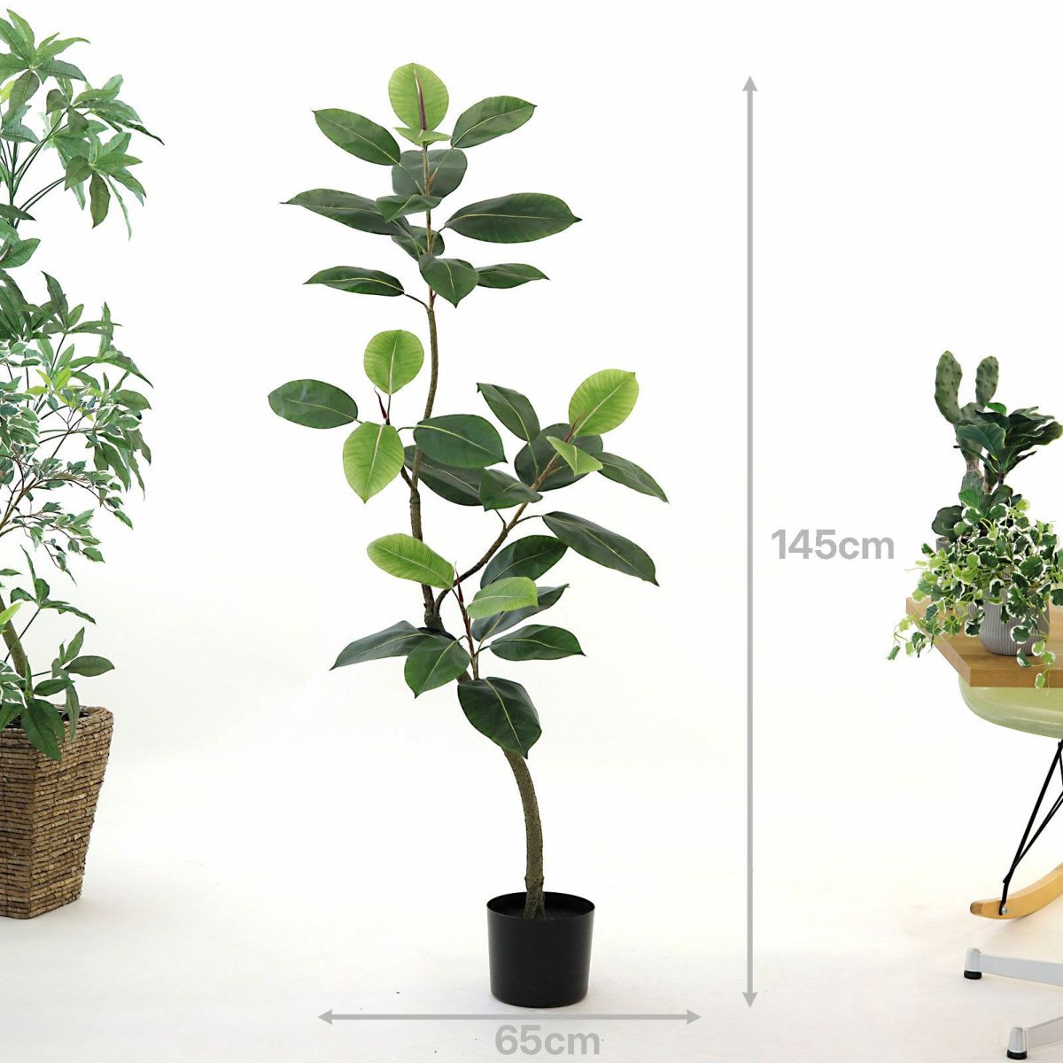 プラ鉢（+0円）